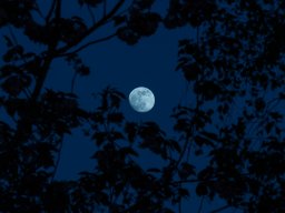 blue hour 2